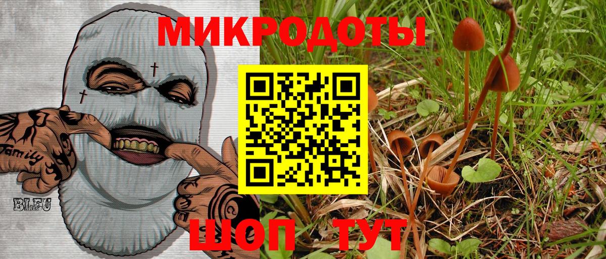 Псилоцибиновые грибы Cubensis  Вход с VPN  Углич 